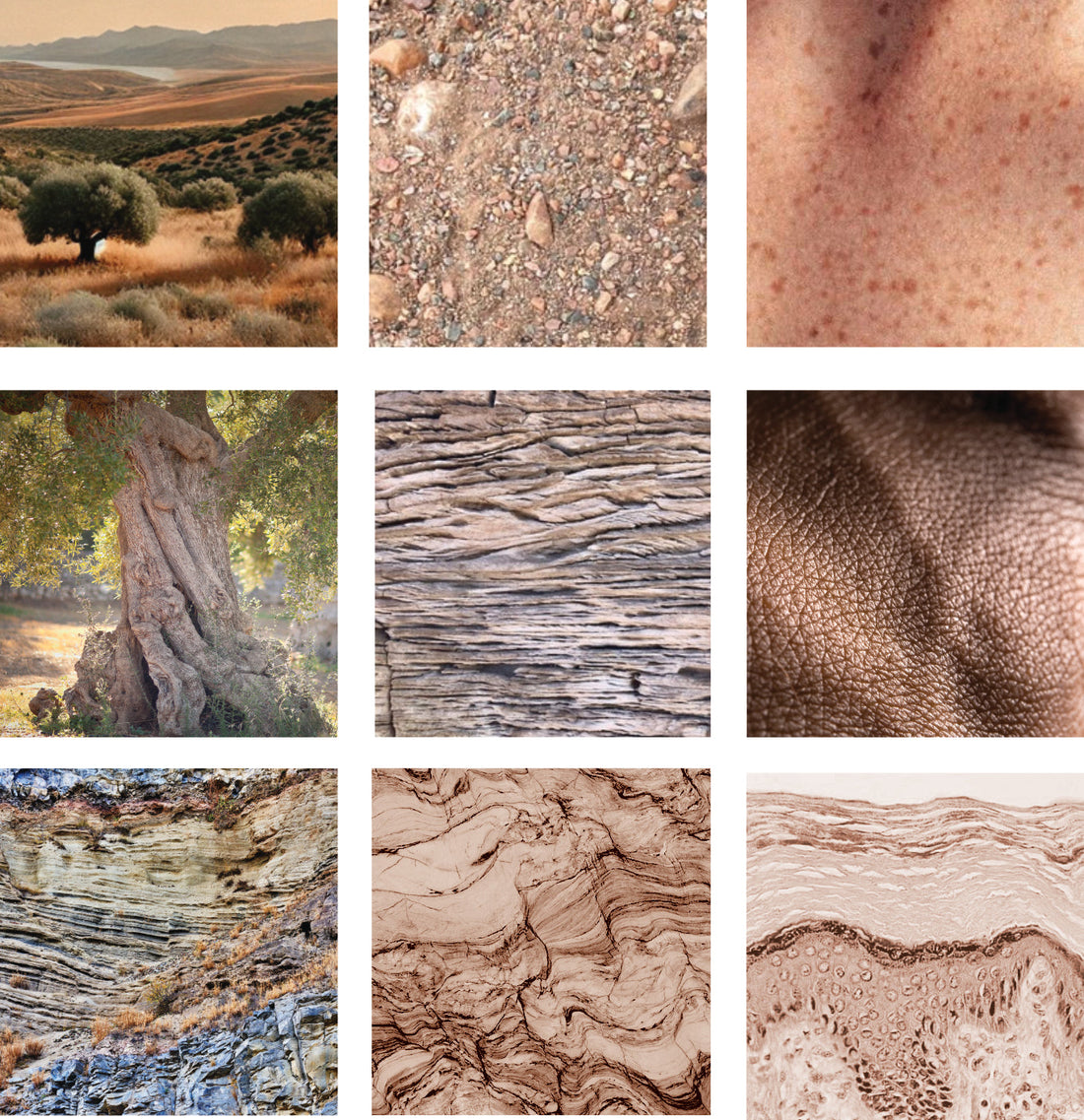 Les femmes actives  au cœur de nos soins.