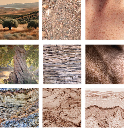 Les femmes actives  au cœur de nos soins.