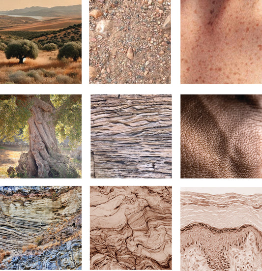 Les femmes actives  au cœur de nos soins.