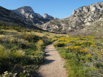Le Territoire de la garrigue, source d’inspiration