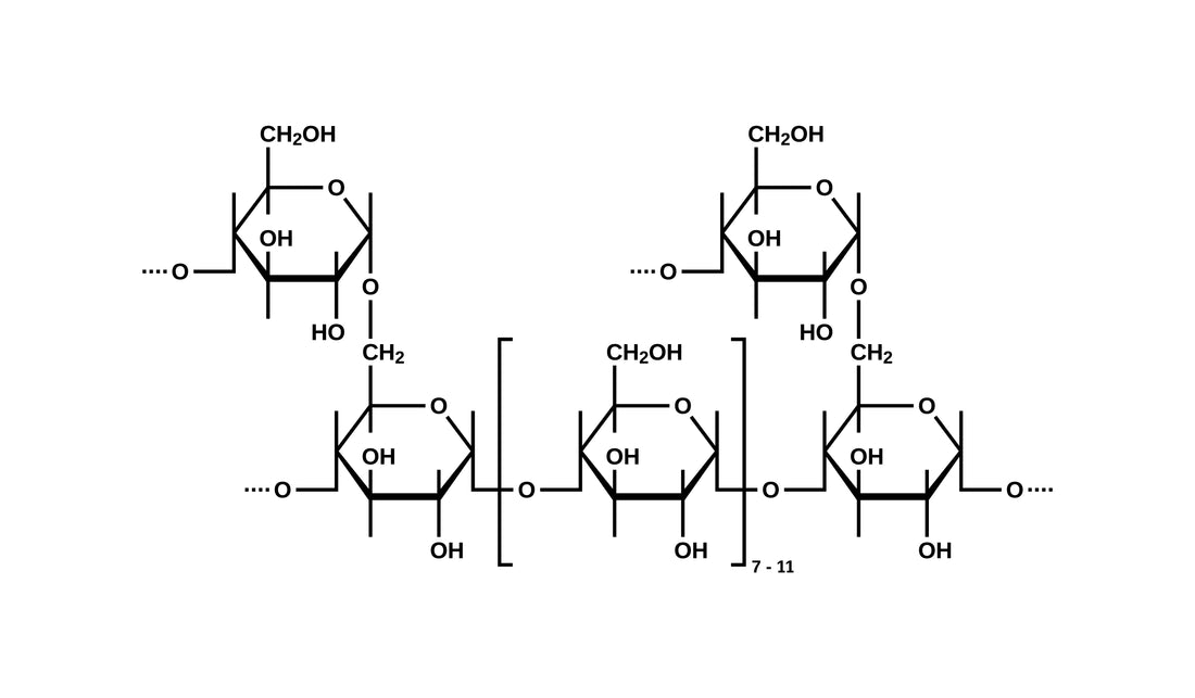 Pourquoi le glycogène est-il clé pour la vitalité cellulaire de la peau ?