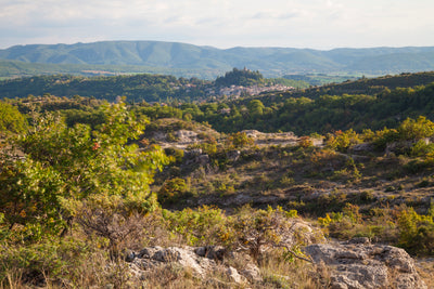 Parfum «dans la garrigue»